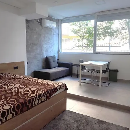 Apartment Asja